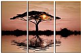 landscape AFRICAN SUNSET